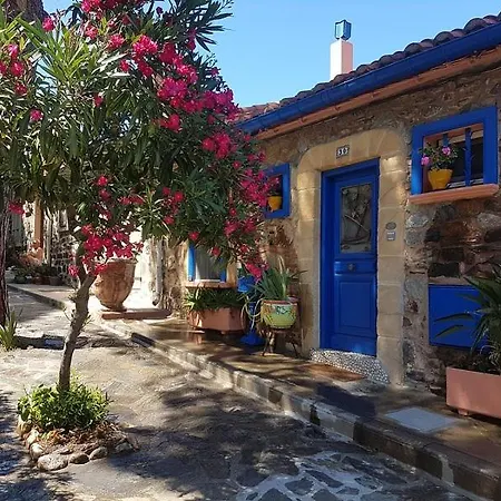 T3 Hippocampe -jardin -piscine -garage -clim * Collioure