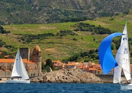 T3 Hippocampe -jardin -piscine -garage -clim * Collioure